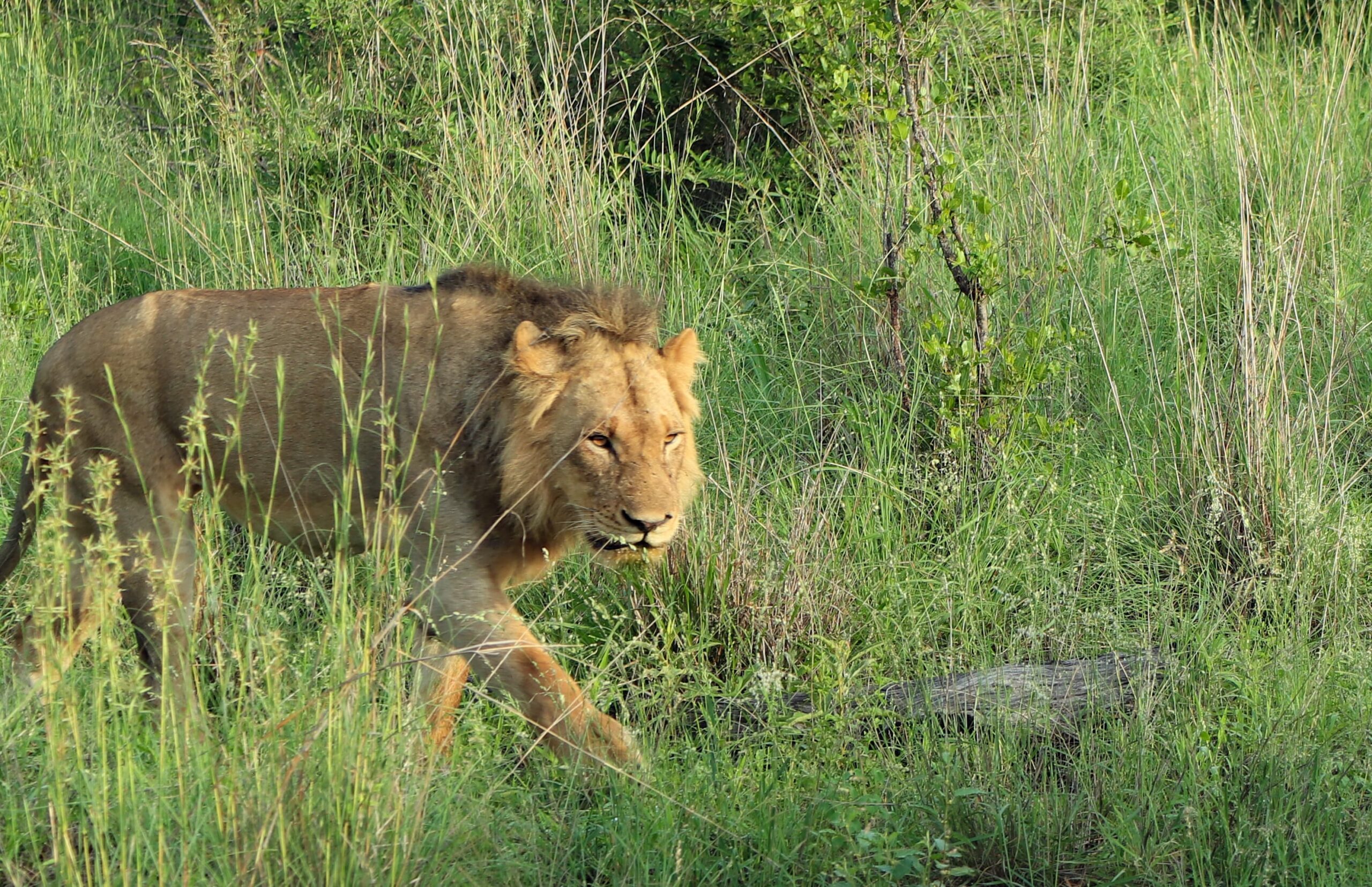 WhatsApp Image 2025-05-21 at 09.24.56_ca84f1c7