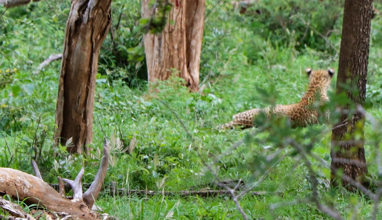 WhatsApp Image 2025-05-21 at 09.25.09_7f3ad17c