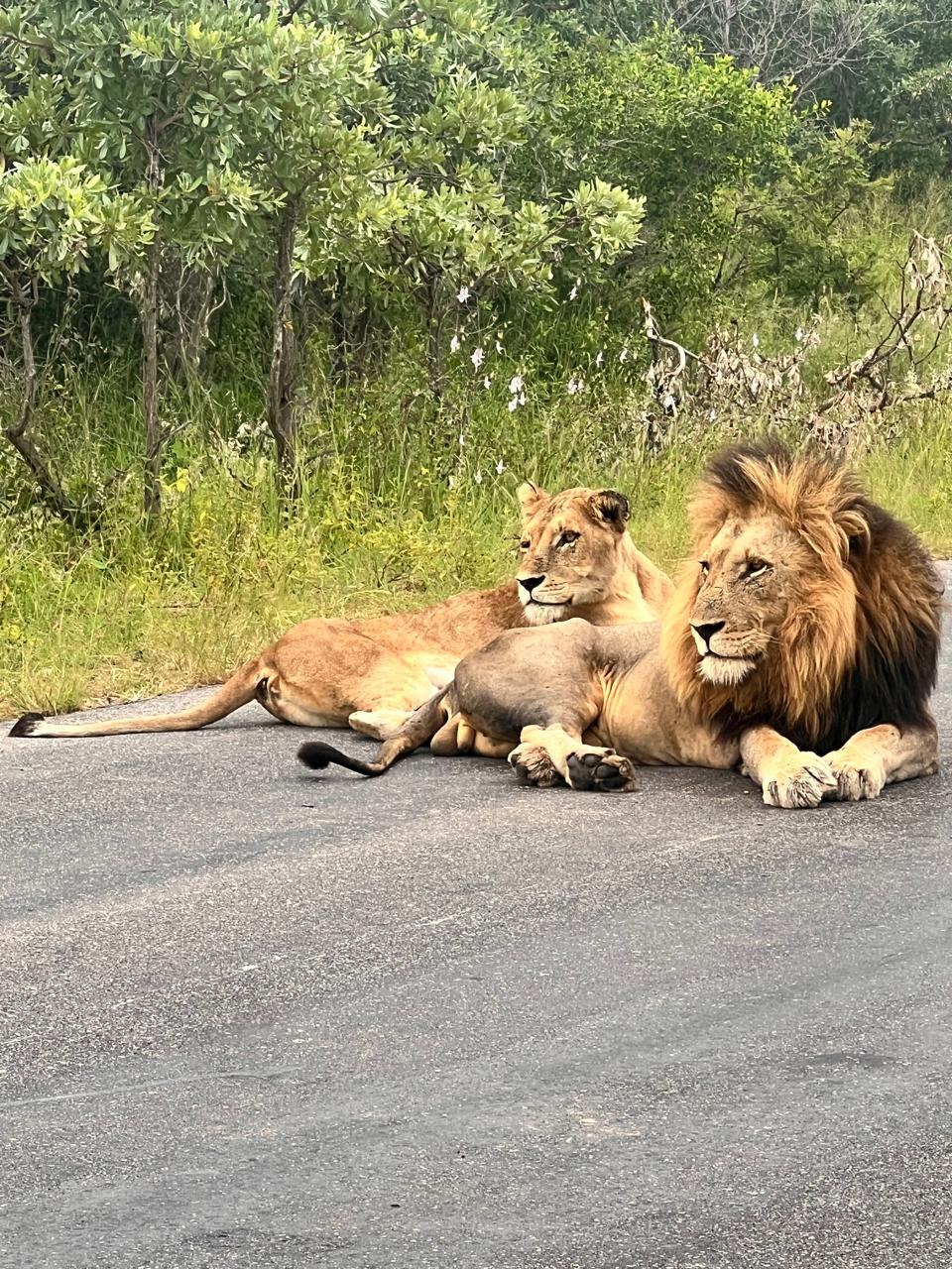 WhatsApp Image 2025-05-21 at 09.30.13_ad2c0c77