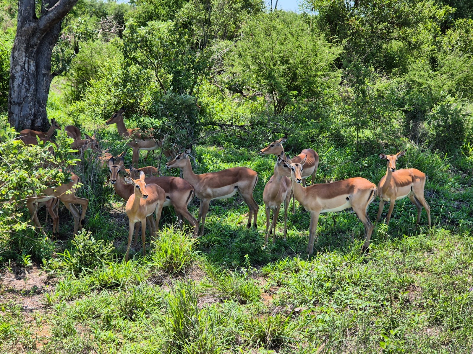 WhatsApp Image 2025-05-21 at 09.35.32_74e13d75