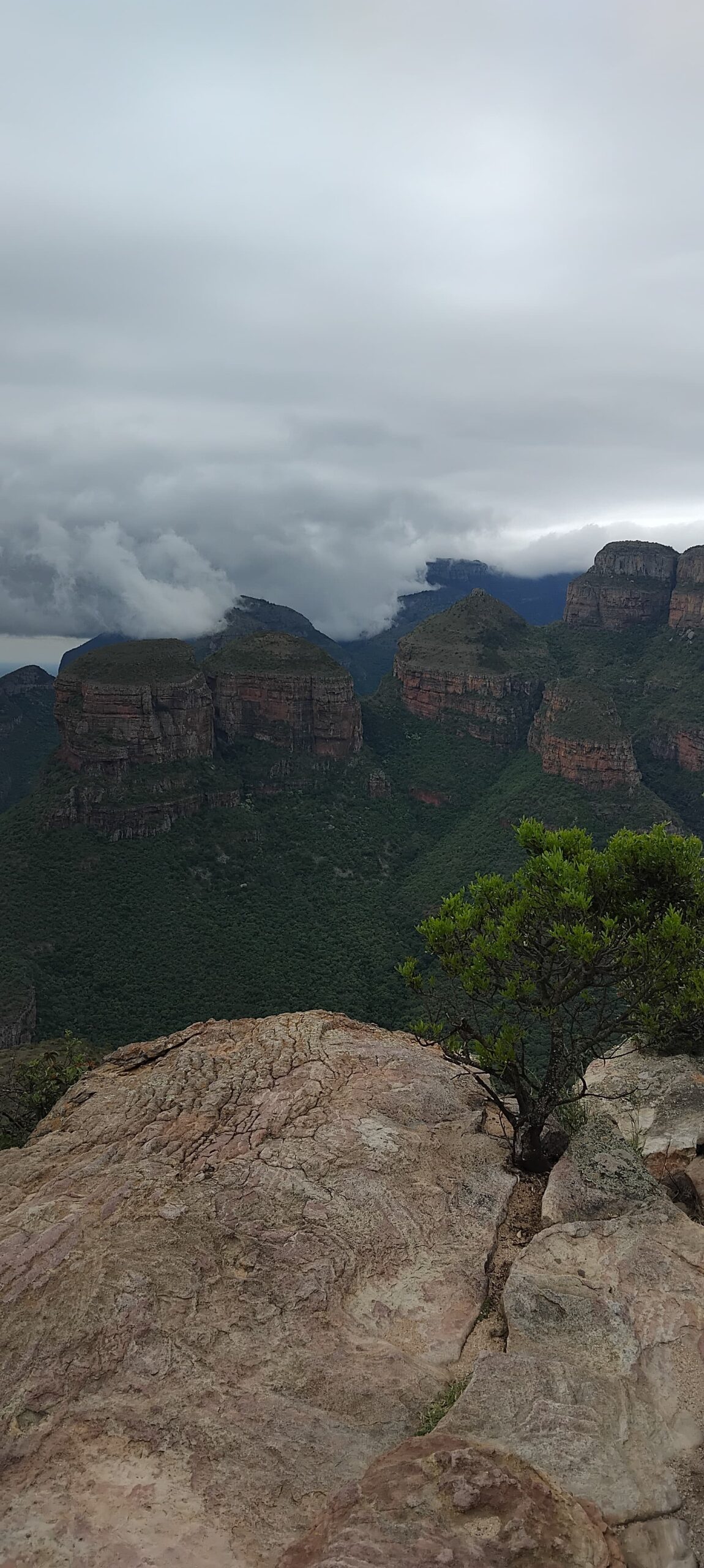 WhatsApp Image 2025-05-21 at 10.07.41_b4b4c71a