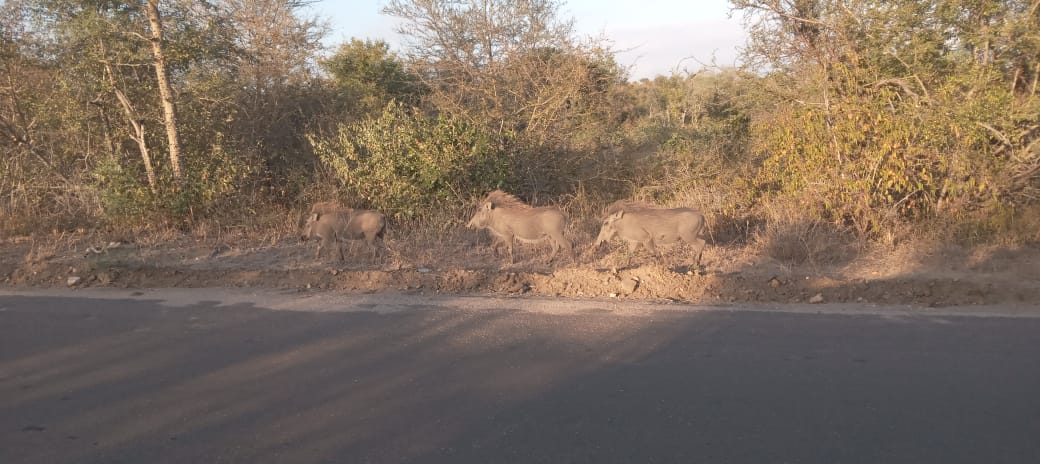 WhatsApp Image 2025-05-26 at 12.42.21_e6178df2