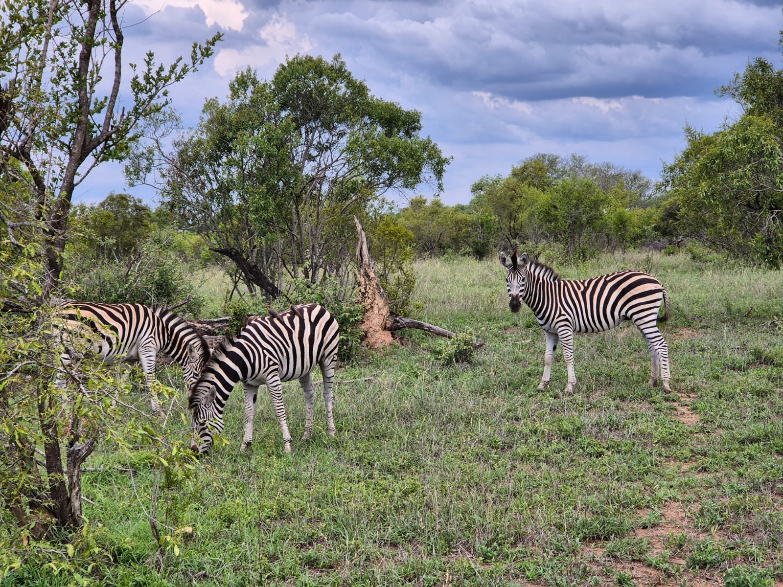 WhatsApp Image 2025-05-26 at 12.42.26_b9693e90