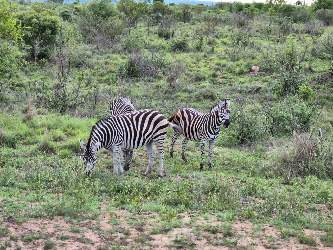 WhatsApp Image 2025-05-26 at 12.42.28_74e98c8d