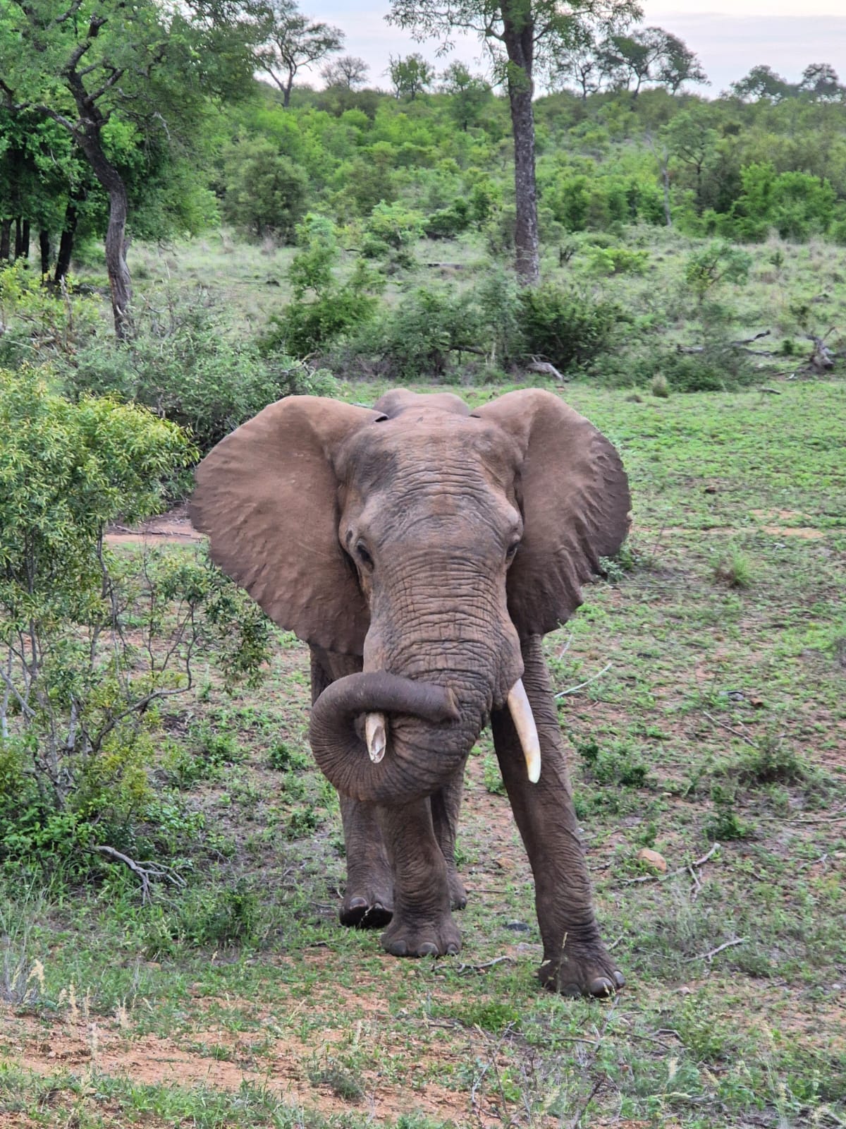 WhatsApp Image 2025-05-26 at 12.42.37_39f90bac