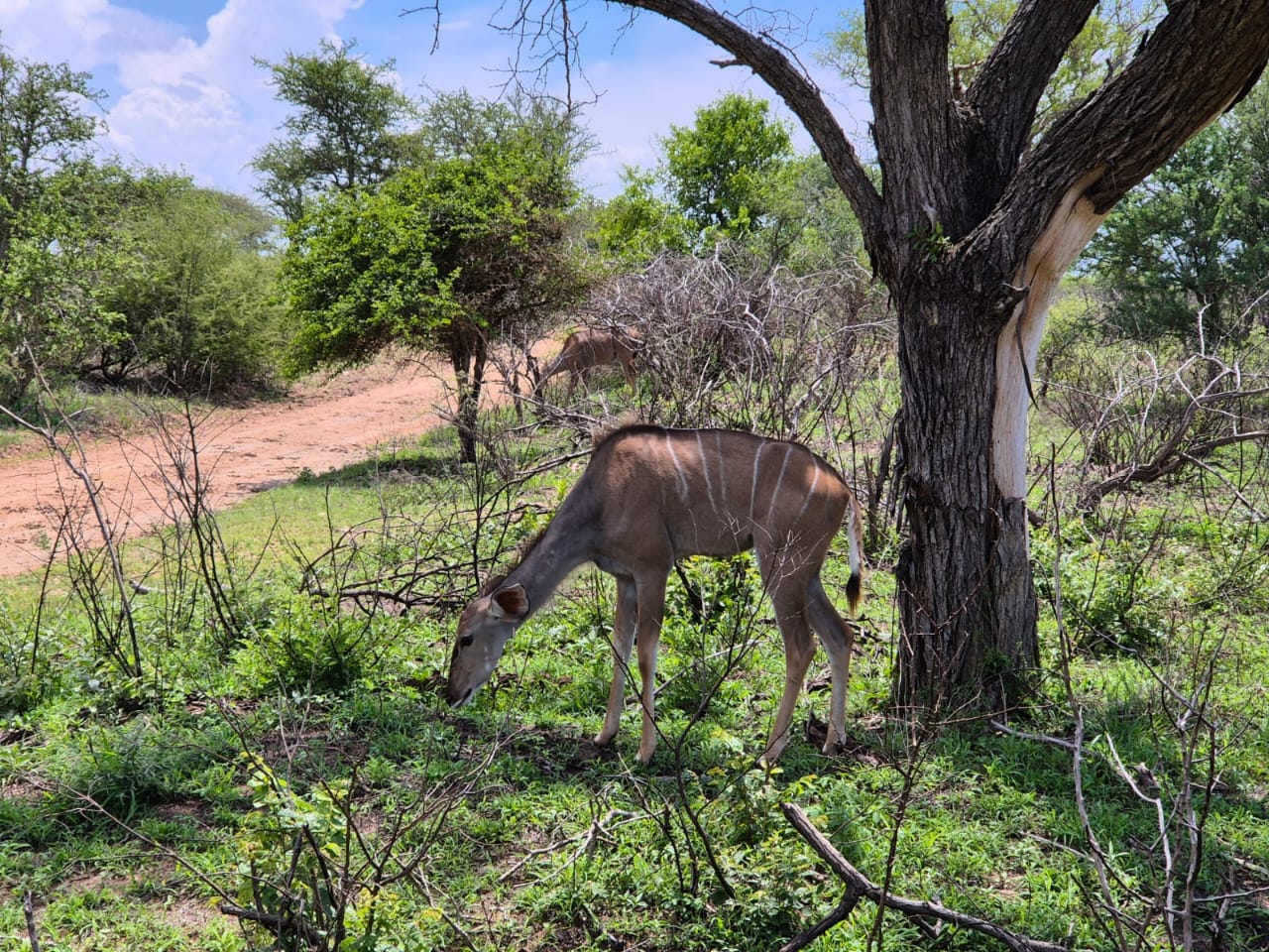 WhatsApp Image 2025-05-26 at 12.42.39_fdffc86a