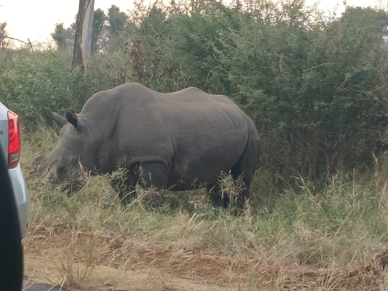 WhatsApp Image 2025-05-26 at 12.45.14_80c583a5