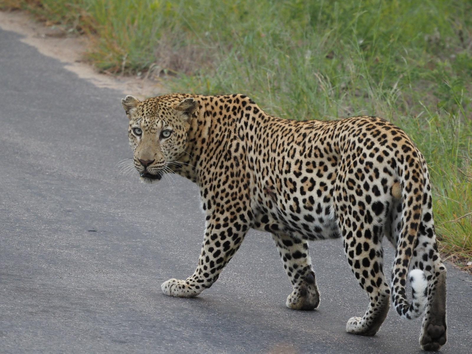 WhatsApp Image 2025-05-26 at 12.45.15_ddaa77c7