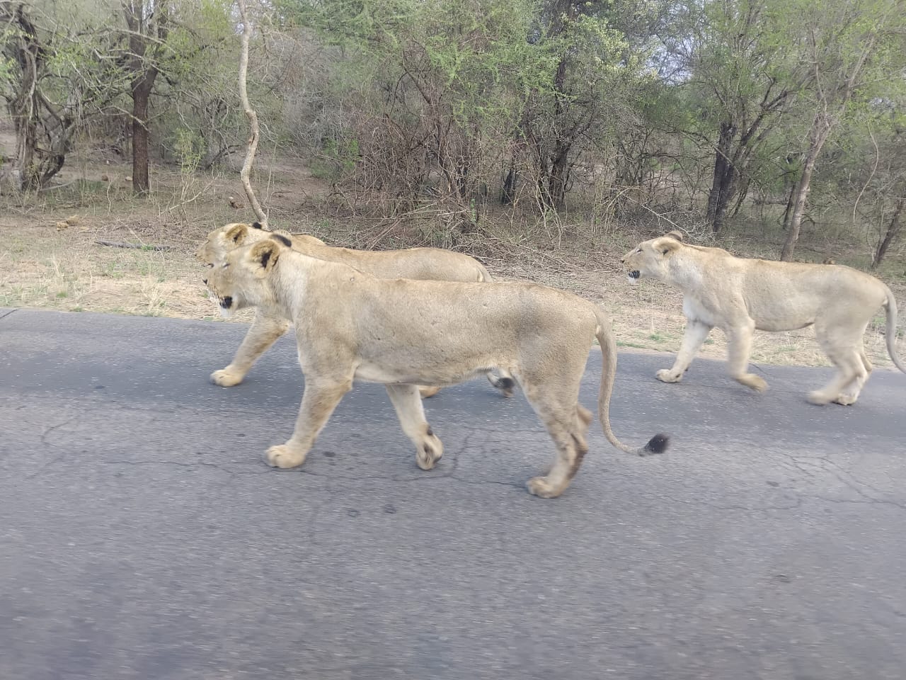 WhatsApp Image 2025-05-26 at 12.45.16_77b5823e