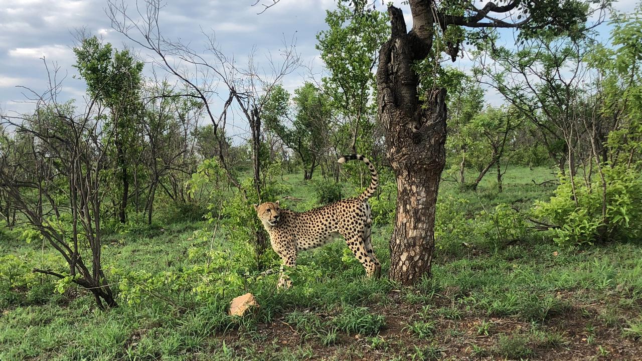 WhatsApp Image 2025-05-26 at 12.45.16_8b6b61de