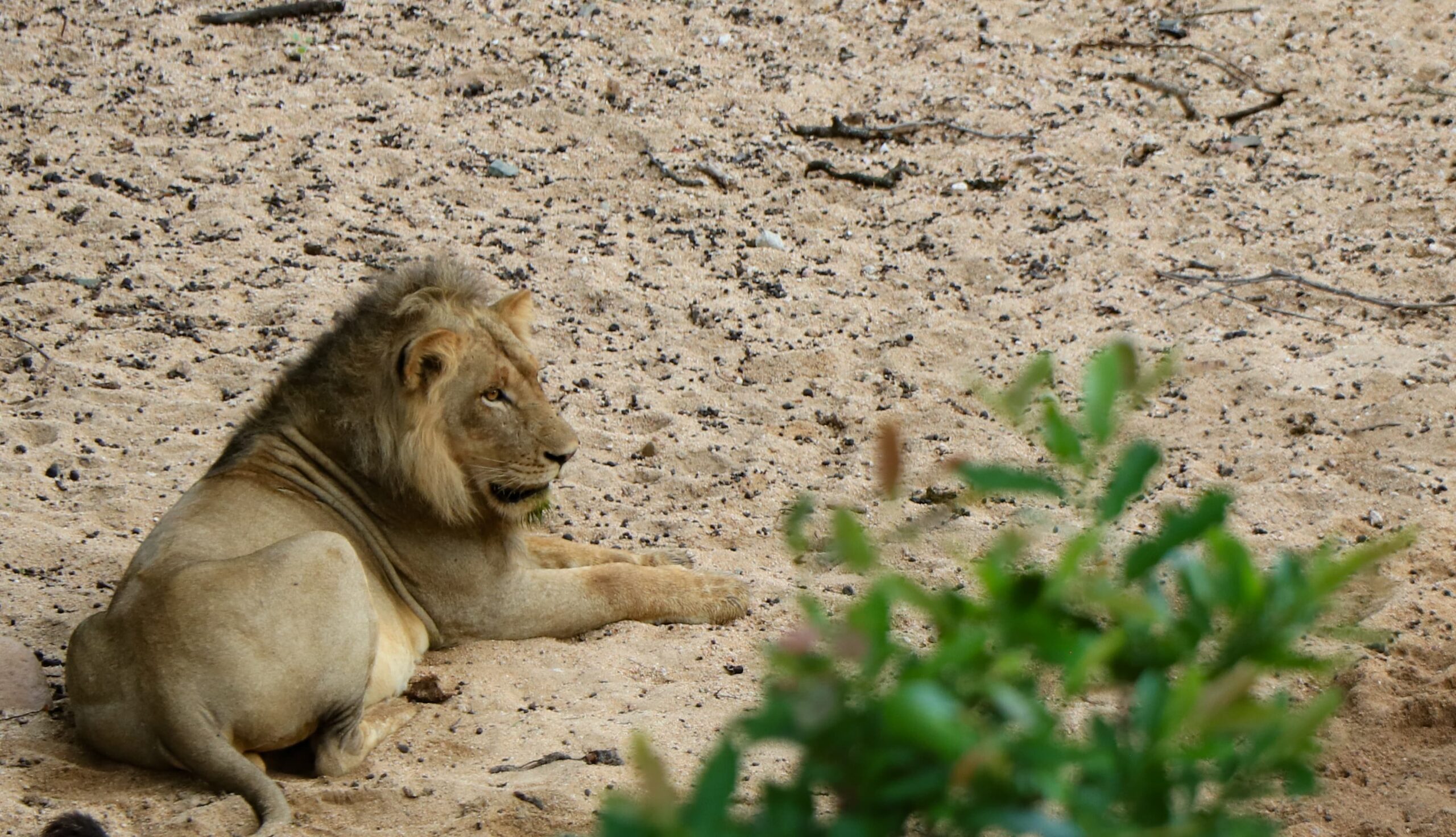 WhatsApp Image 2025-05-26 at 12.51.36_e2afc51e